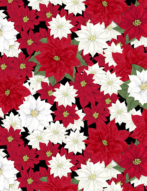Cardinal Charm || Packed Poinsettias Black