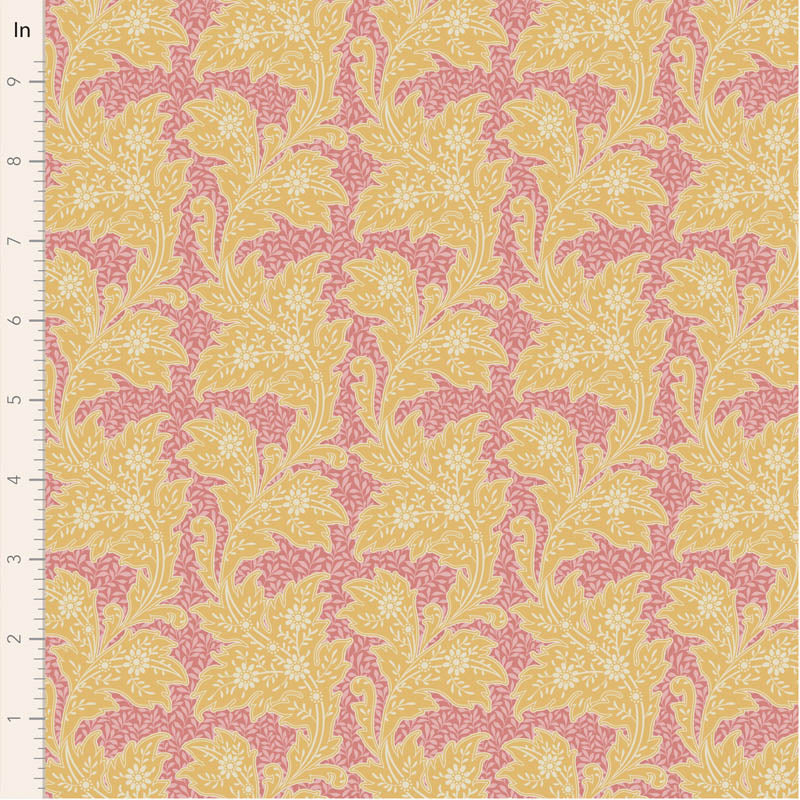 Songbird || Stella Yellow