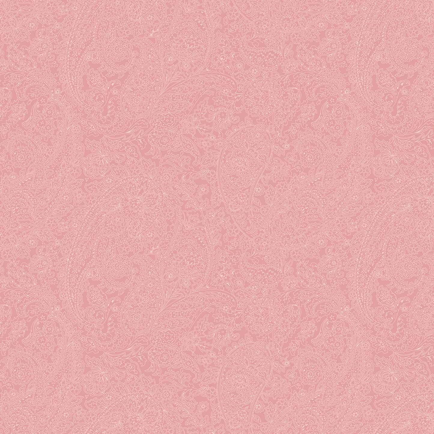 Meadow Blush || Pink Paisley Lines