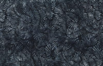 Forest Trail || Navy || Fans