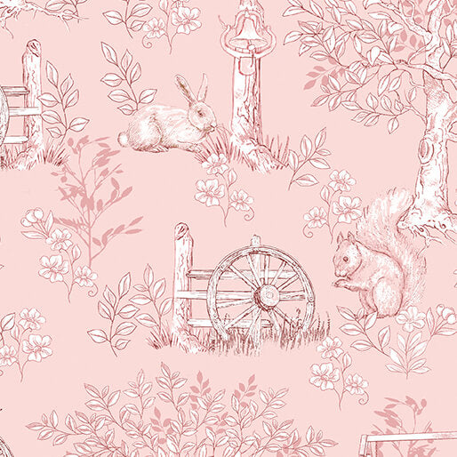 Montgomery-Mountain Charm || Belle Toile || Light Coraline