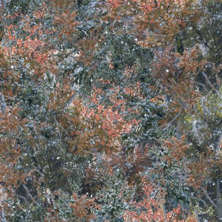 Under The Moonlight Pine Scrub