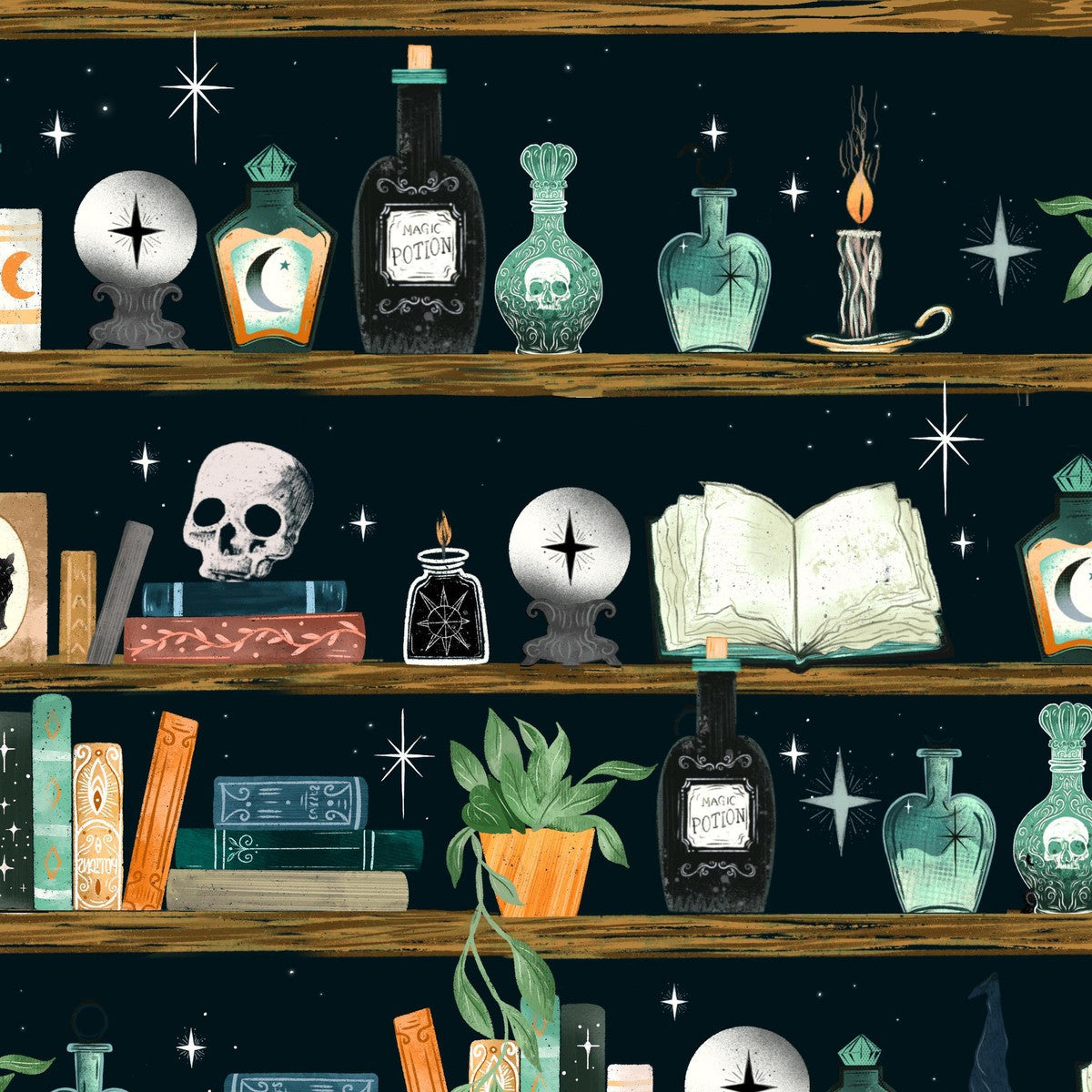 Witchy Wicked || Bookshelf with Potion Bottles and Crystal Balls || Black