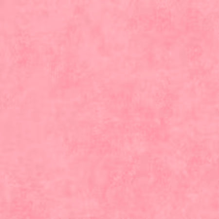 Shadow Play || Pink Carnation