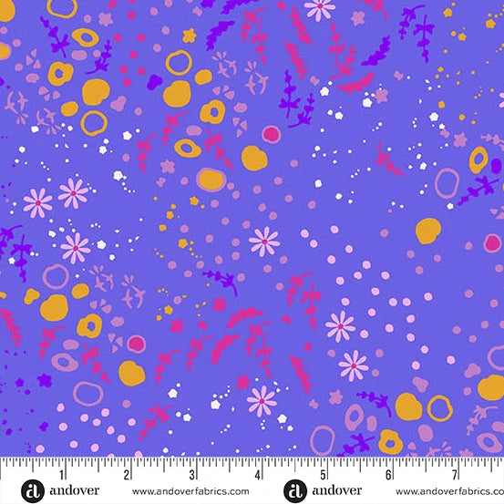 Sun Print 2026 || Equanimity Tanzanite