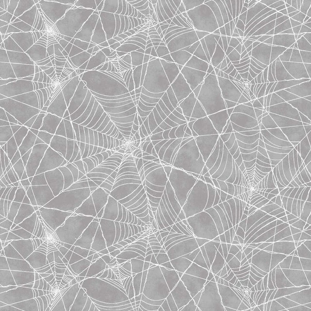 Pretty Scary || Spiderwebs || Storm