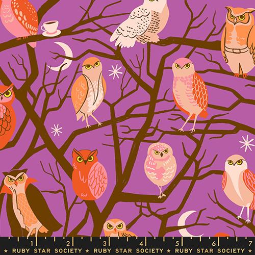 Freaky Familiars || Witchy Novelty Owls || Purple