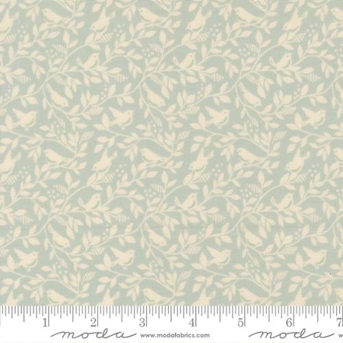 True Love || Birds Of A Feather || Robin's Egg
