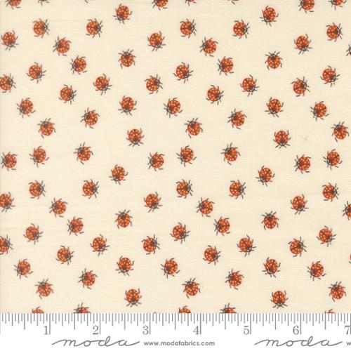 Ladybug Whimsy || Ladybug || Eggshell