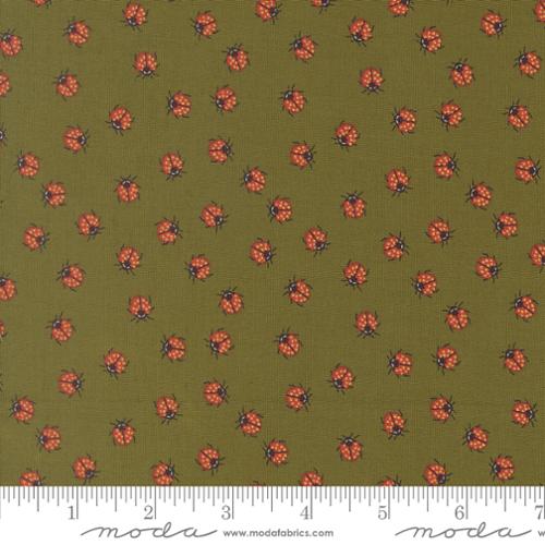 Ladybug Whimsy || Ladybug || Grass