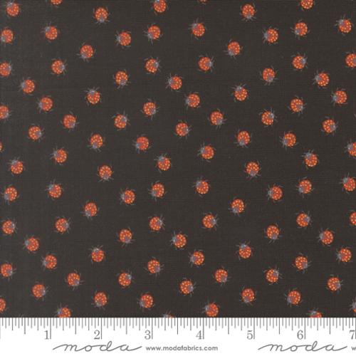 Ladybug Whimsy || Ladybug || Midnight
