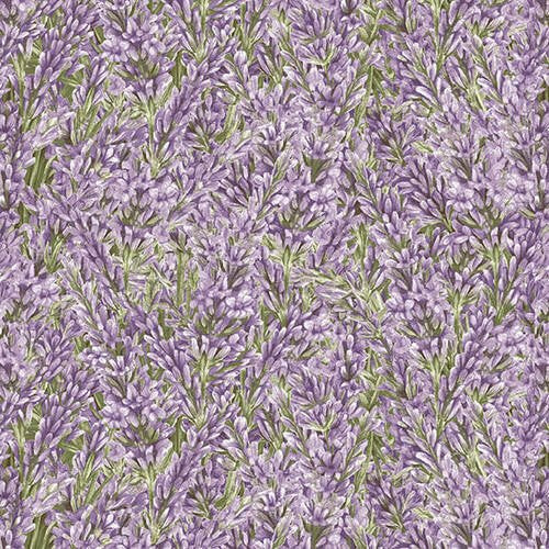 Lavender Garden 9873-56 Lavender Packed Lavender