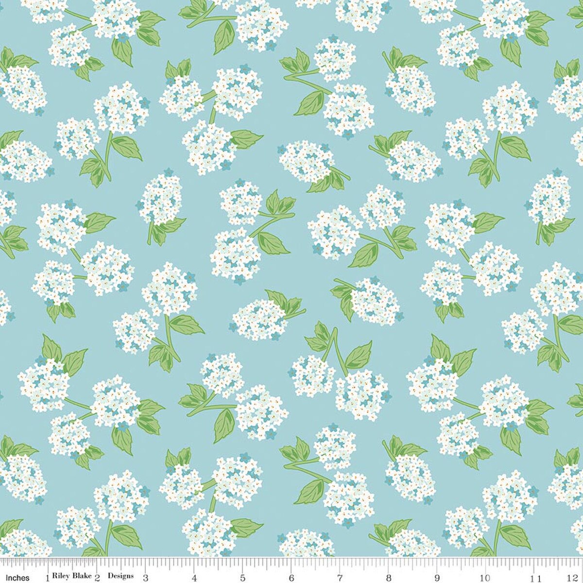Correspondence || Hydrangeas Aqua