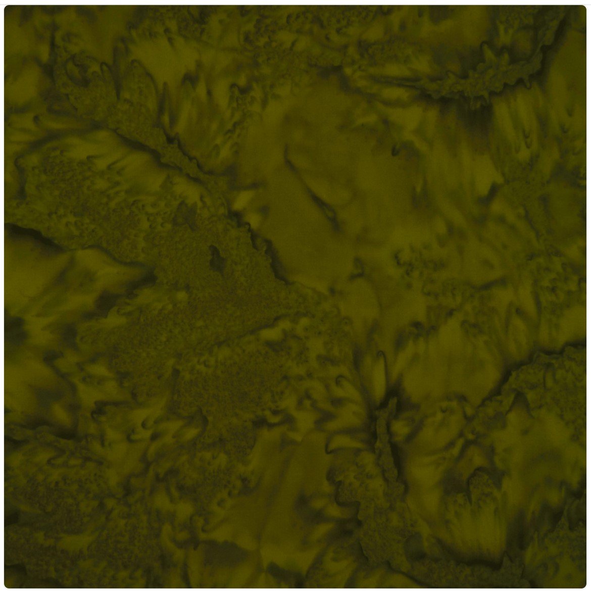 Batik by Mirah The Princess Palette PP-172 Cumin