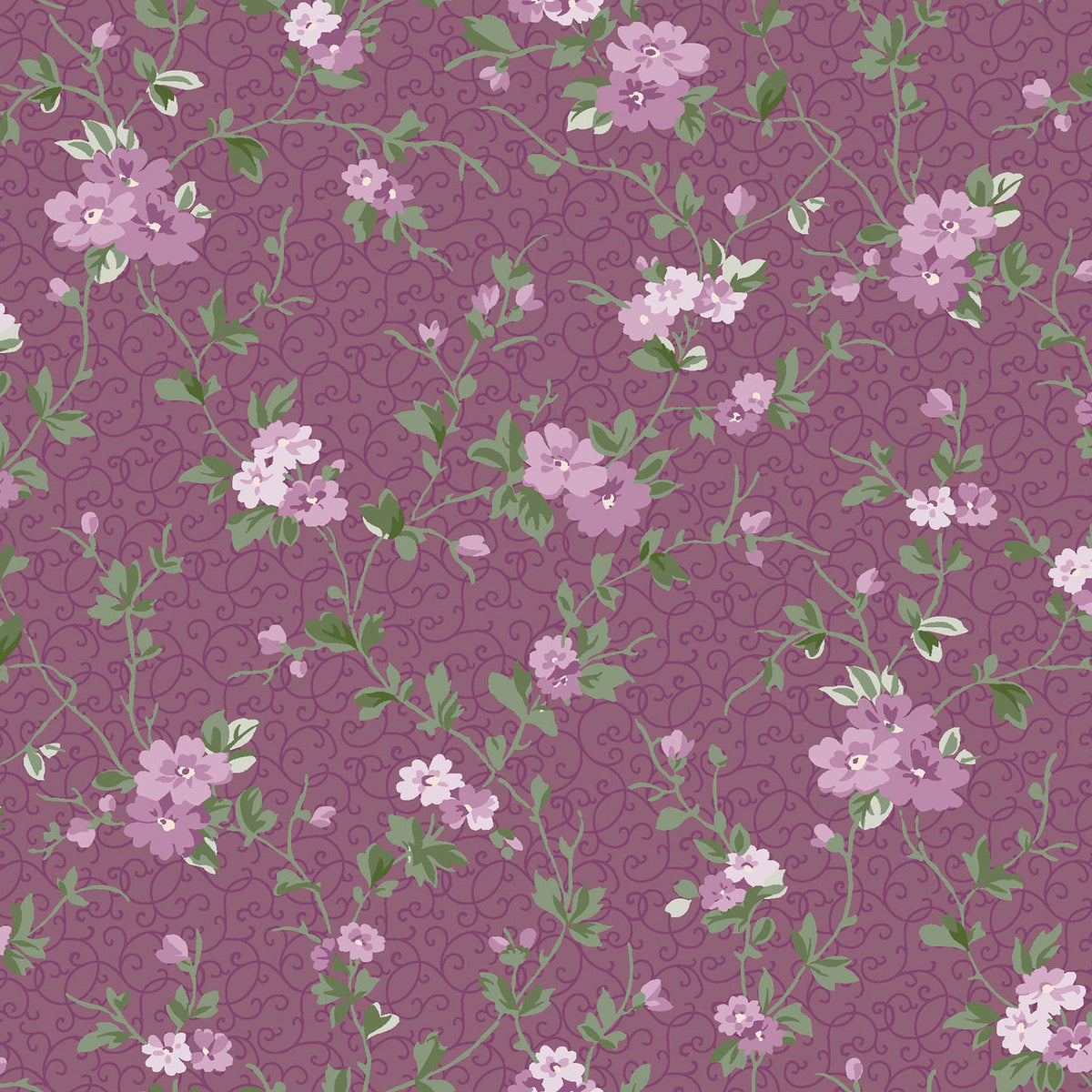 Courtland || Delicate Vine || Plum