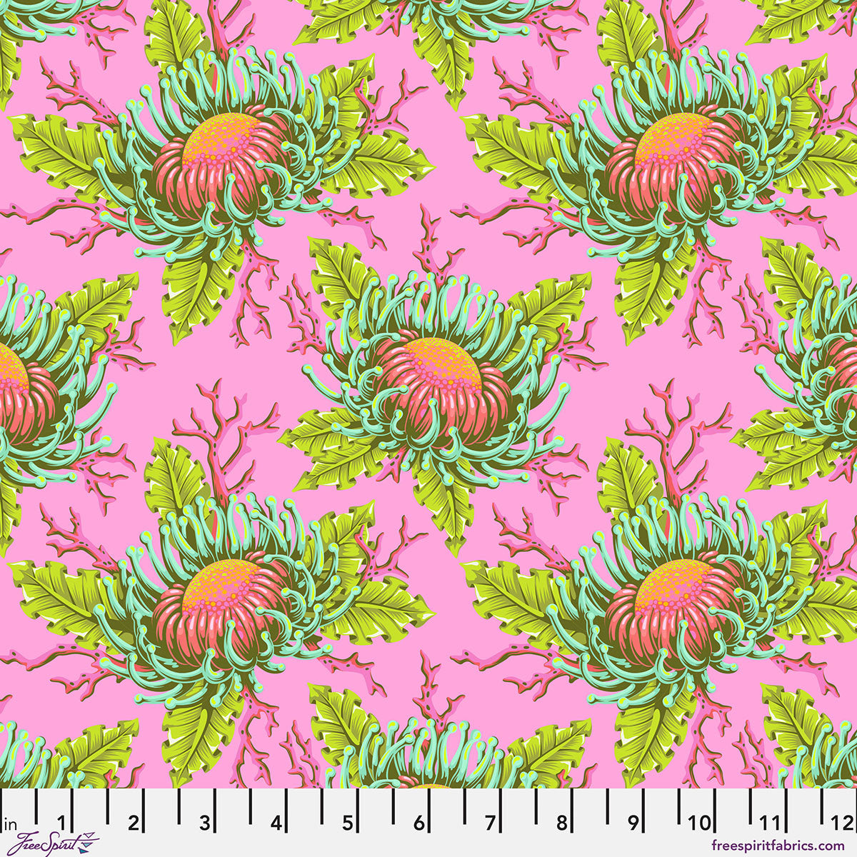 Floral Reef || Friends & Anemones || Coralline