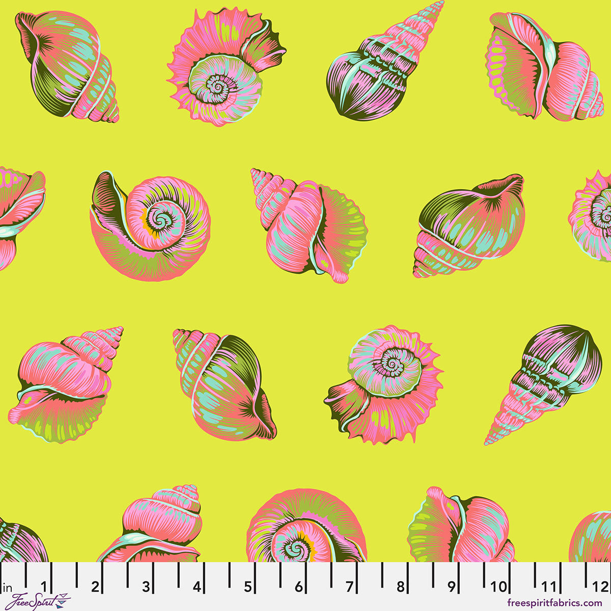 Floral Reef || Lil Shelly || Seagrass