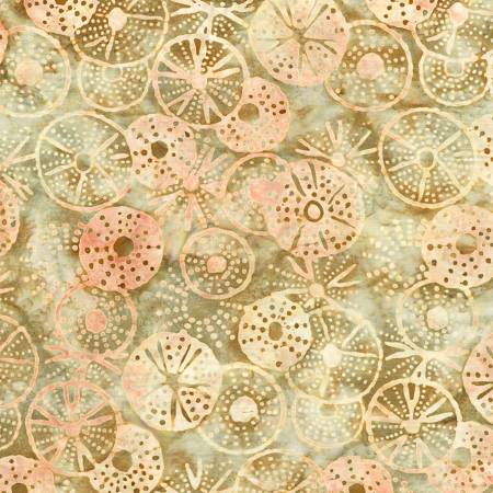 Tranquil Tides || Sand Dollars || Ecru