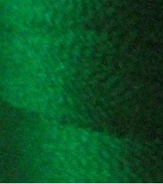 Floriani Embroidery Thread PF0264 Medium Green