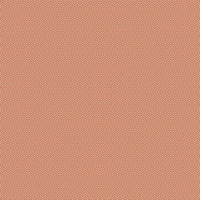 Poppy Seed || Teracotta