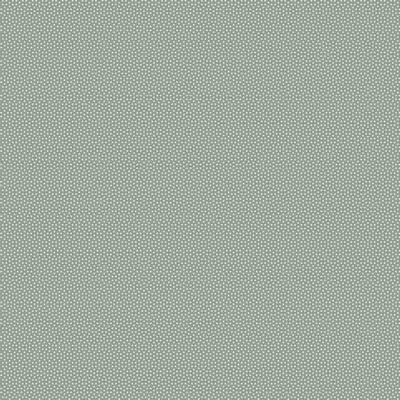 Poppy Seed || Duckegg