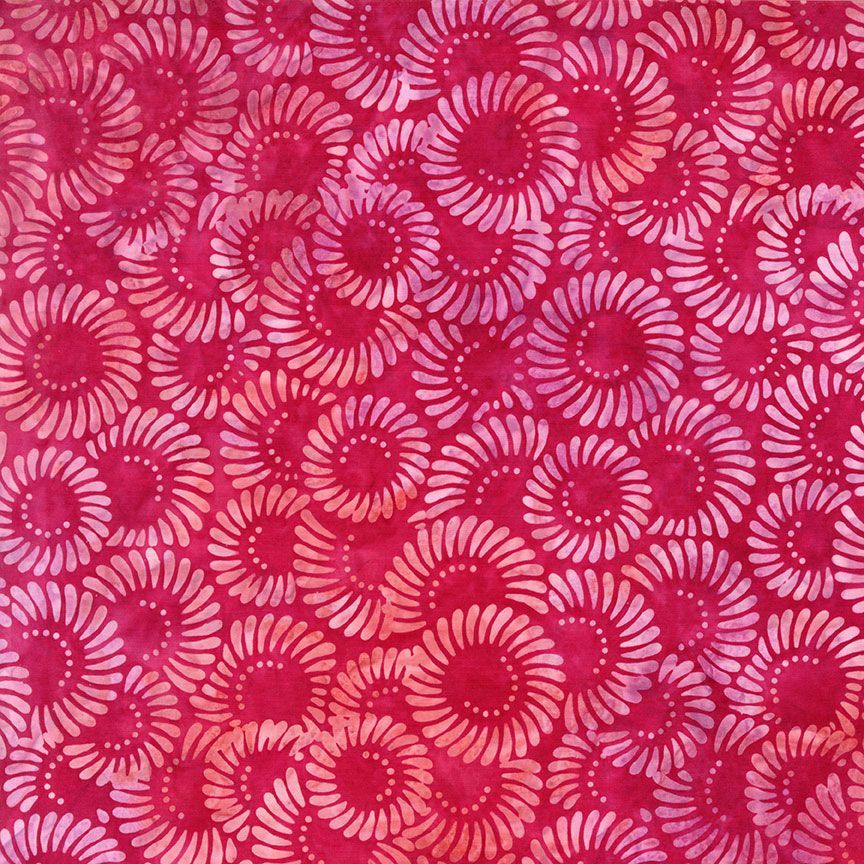 Tonga Geranium || Water Drops Spiral || Bloom