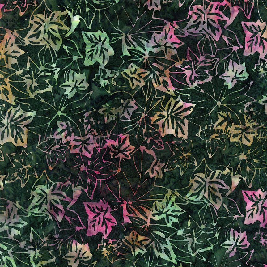Tonga Geranium || Falling Leaves || Green