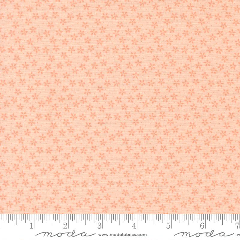 Pastel Prairie || Petal || Colander Floral