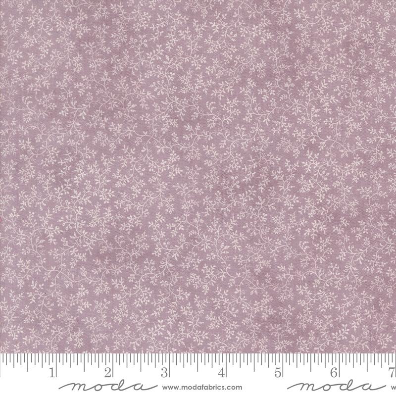 3 Sisters Lavender Fields Iris Vines