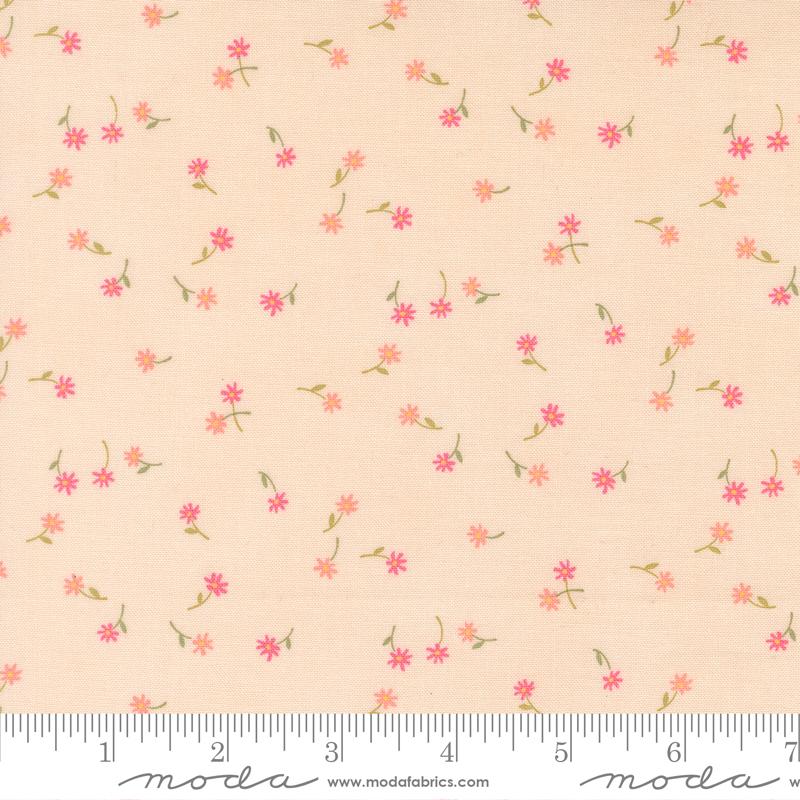 Kindness || Fluttering Flowers || Peach