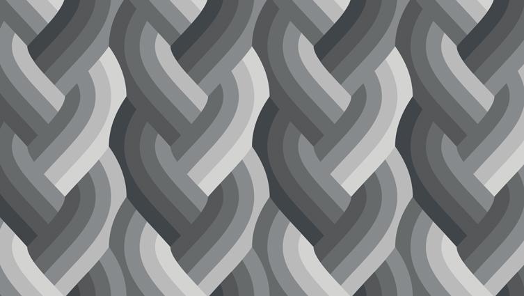 Echo Braid Black 42380 14 Moda #1