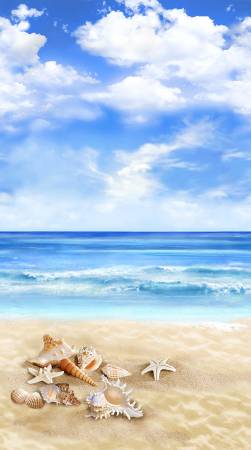 Beachcomber Multi 24" Panel With Shells