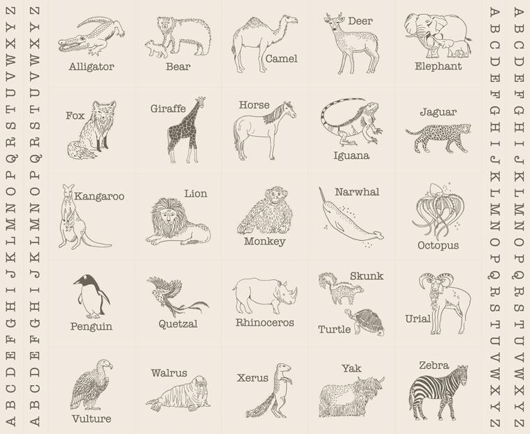 Animal Park Fun Panel Dove Charco