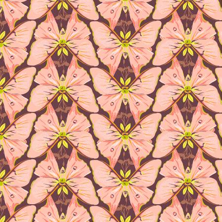 Insectarium Pink Luna