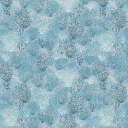 Ocean Song Ocean Coral Reef