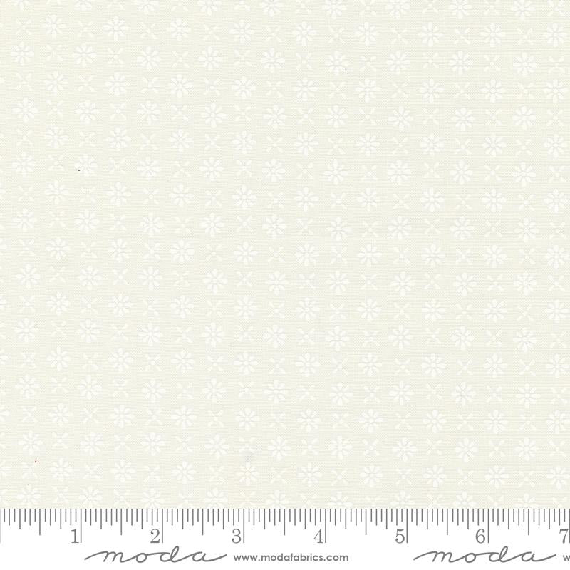 Red White and Bloom Daisy White