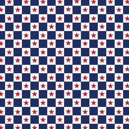 Welcome Home Check Star