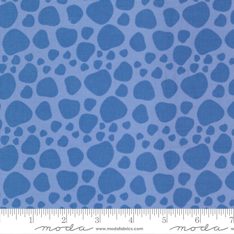 Creativity Roars Bluesky