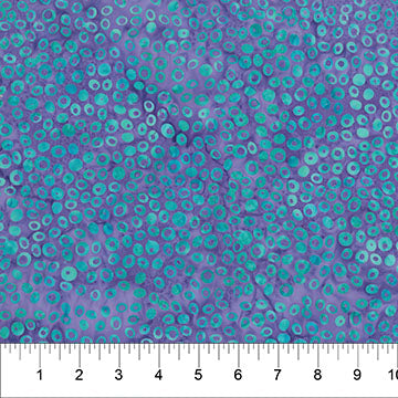 Garden Groove Dot Iris
