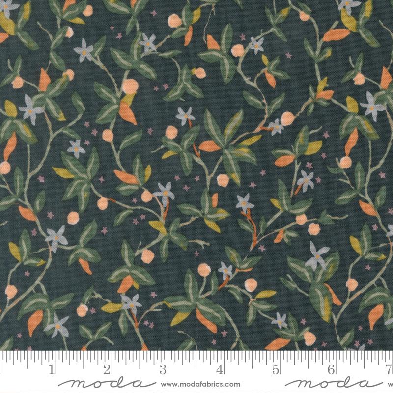 Peachy || Vines || Midnight