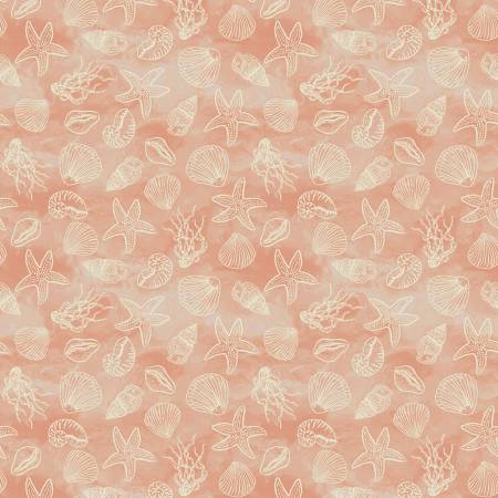 Ocean Song Coral Shell Collection