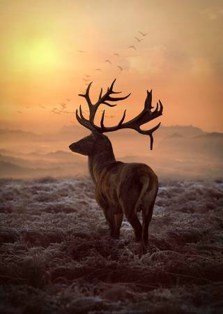 Sunset Call Of The Wild Panel 30-3/4in x 42-1/2in