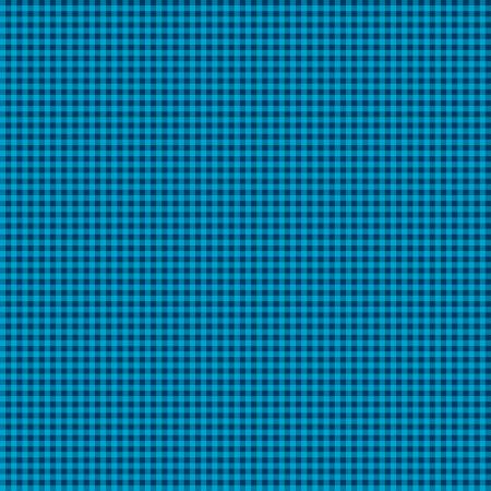 Classics Turquoise/Navy Mini Gingham