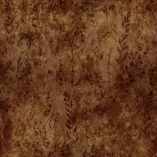 Reflections of Autumn II Twigs Brown