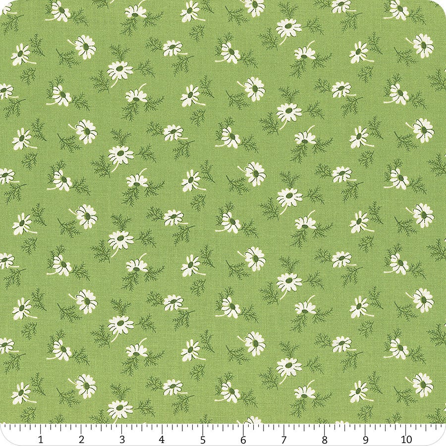 Home Town Holiday || Pineflower || Basil
