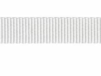 Nylon Webbing White 1" wide