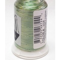 Floriani Variegated V19 Green Meadow Stripe