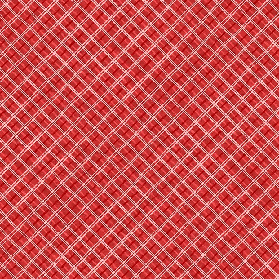 Paws At Play || Plaid || Red
