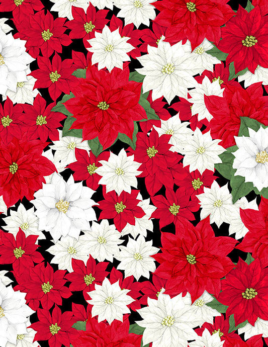 Cardinal Charm || Packed Poinsettias Black