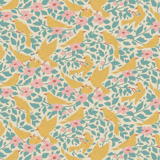 Songbird || Ava Teal